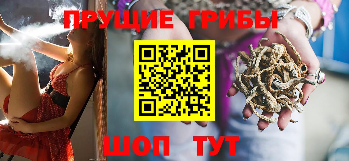Мичуринск  Псилоцибиновые грибы Psilocybe  Вход с VPN 